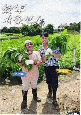 声浪计划 素人音乐竞演海报